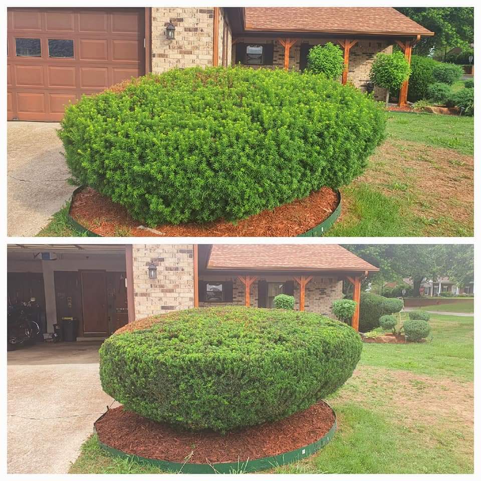 Garden Design 1