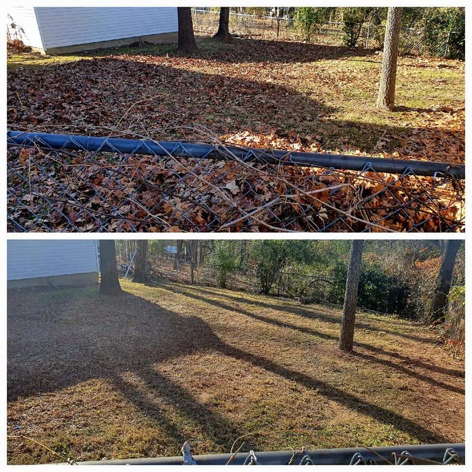 Seasonal Clean-up 3