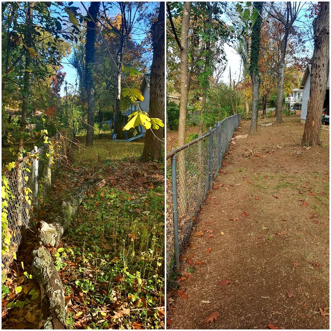 Seasonal Clean-up 1
