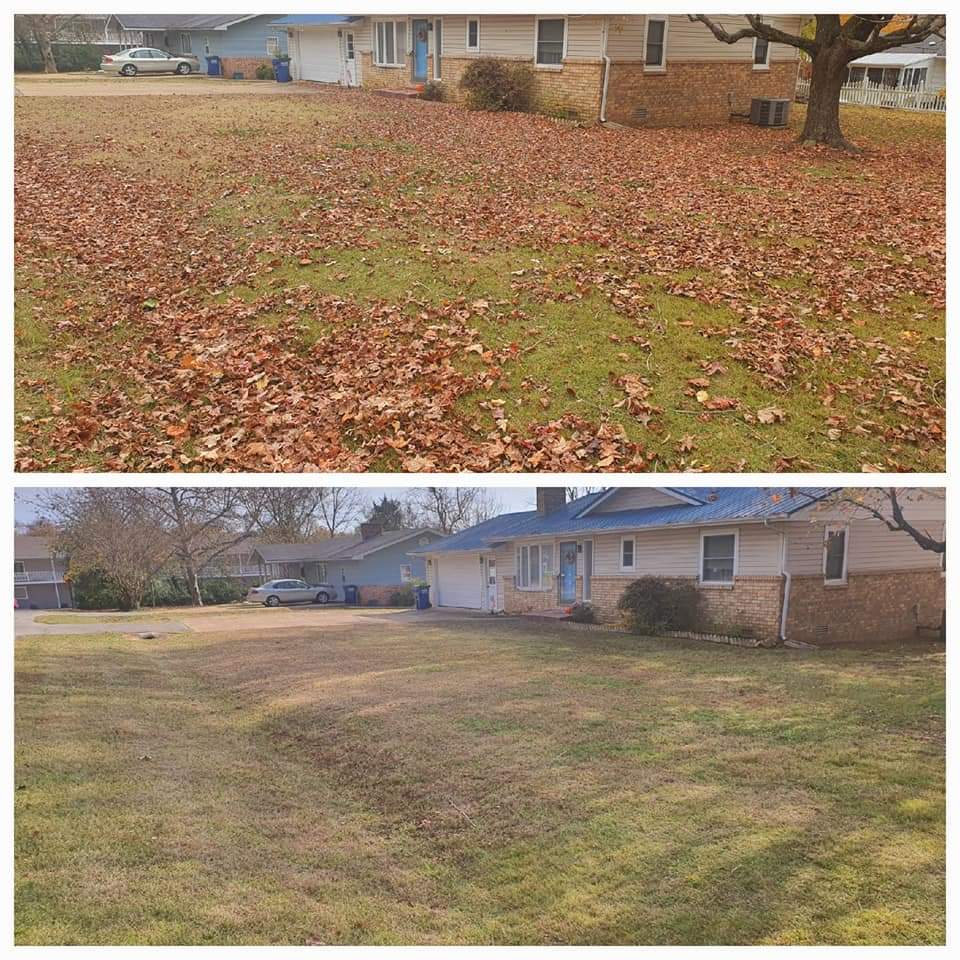 Seasonal Clean-up 2