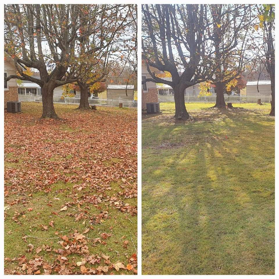 Seasonal Clean-up 4