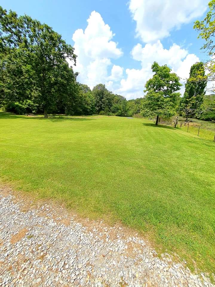 Lawn Maintenance 1