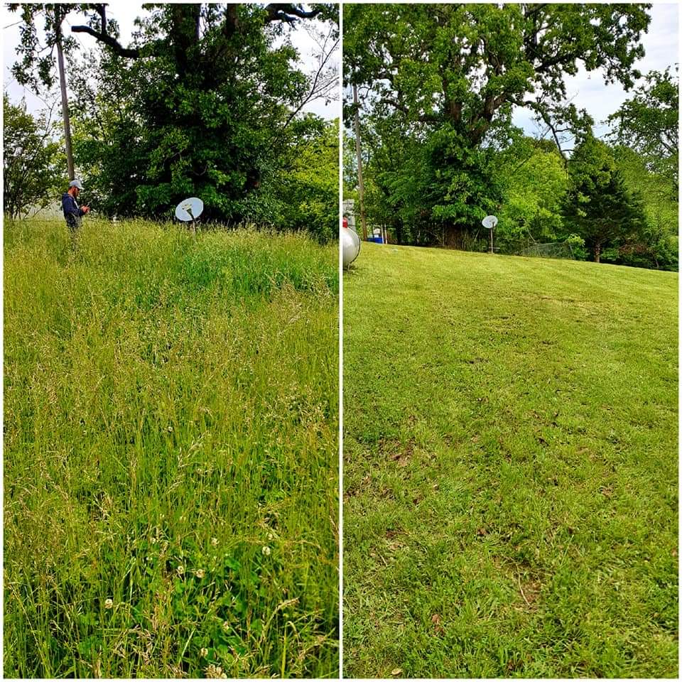 Lawn Maintenance 2